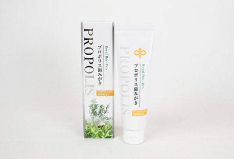 Bee-Pro 歯みがき100g